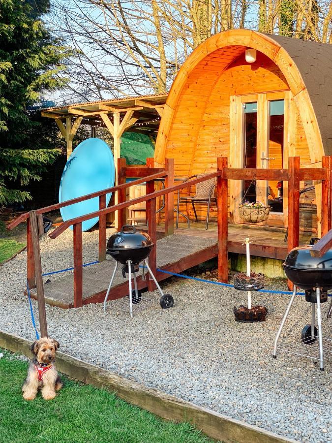 קלס Log Cabin מראה חיצוני תמונה
